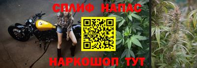 гидра Аргун