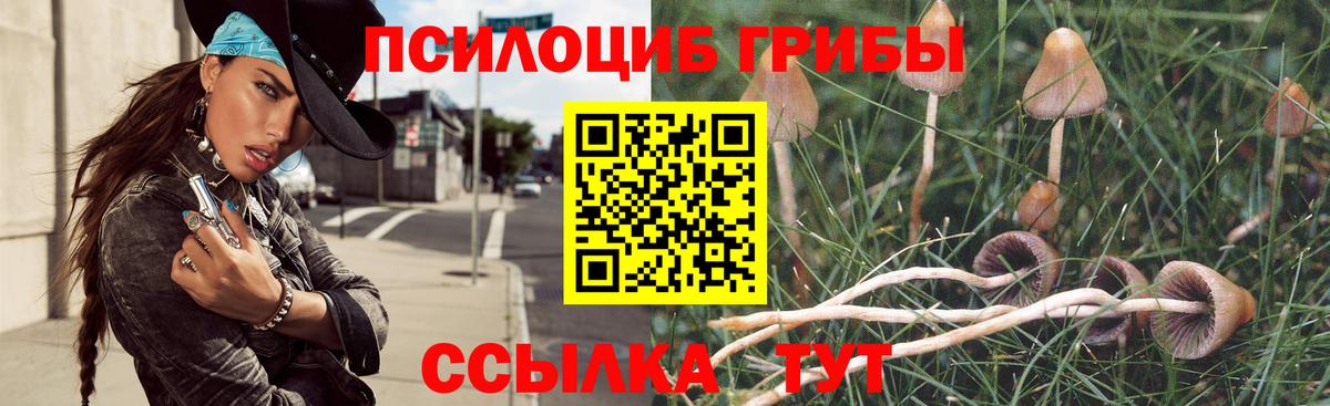 Балаково  Галлюциногенные грибы прущие грибы  Вход с VPN  Галлюциногенные грибы Psilocybine cubensis 